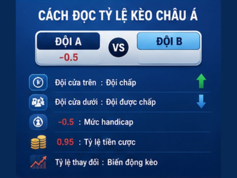 Cách Đọc Tỷ Lệ Kèo Châu Á GO8