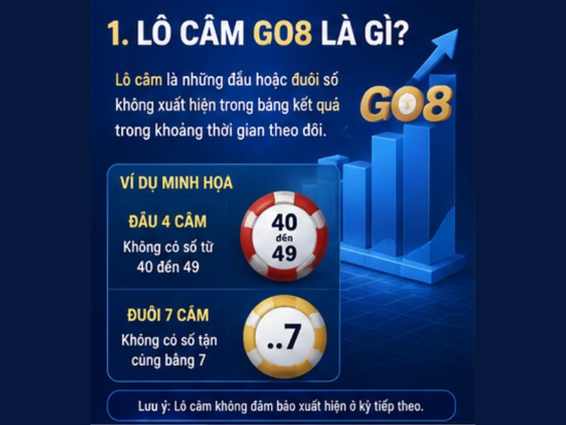 Lô Câm GO8 Là Gì?